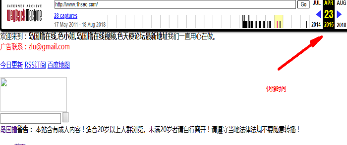 有灰色记录的域名